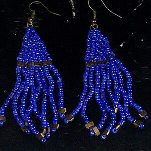 Beaded fringe earrings